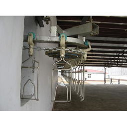 家禽屠宰机械产品列表